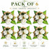 White Handmade Artificial 3 Flowers & Pollen Bunch Pack of 6 & 12 | Trousseau Packing | Craft Shop India
