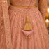 Baby Pink Embroidered Triangle Potli Latkan Tassel Set of 2 for Saree, Blouse & Lehenga | Craft Shop India