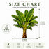 Banana Tree Printed MDF Cutout Pack of 10 | DIY Decoration, Toran & Bandhanwar | Craft Shop India