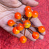 Christmas Oramge Color Round Shape Berries Filler Bunch Set Of 5