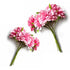 Pink Color Fabric Flowers Bunch 2 Of 12 PCS.