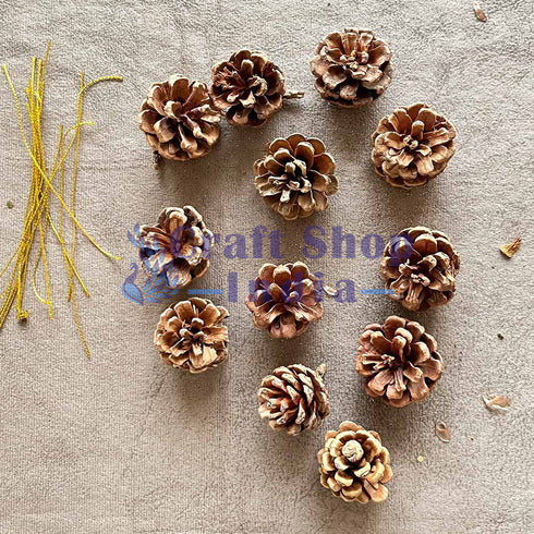 Natural Pine Pack Of 12