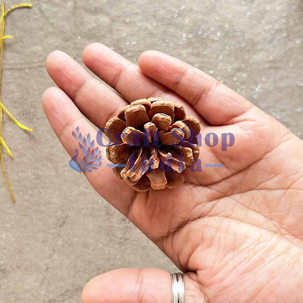 Natural Pine Pack Of 12
