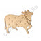 Pichwai Cow Engraved Set of 6