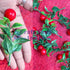 Christmas Red Berries with Green Leaves Filler Set Of 12