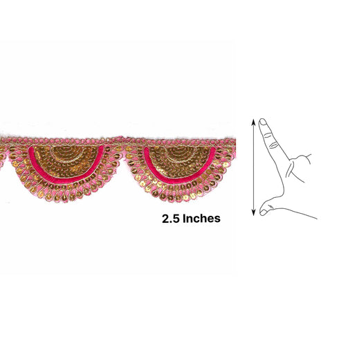 Rani Pink With Zari Work Semi Circle Tissue Lace & Border ( 9mtr )
