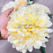 Light Peach Color Silk Chrysanthemum Bush Flower Bunch