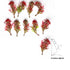 Red & Green Color Leaf Bunch Set Of 12
