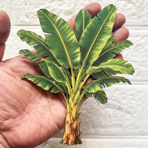 Banana Tree Printed MDF Cutout Pack of 10 | DIY Decoration, Toran & Bandhanwar | Craft Shop India