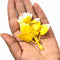 Yellow Shaded Color Leaf Filler Set Of 12