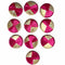 Rani Pink And Golden Gota Plate Pack Of 20