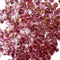 Onion Pink Round Shape Sequins & Shakers