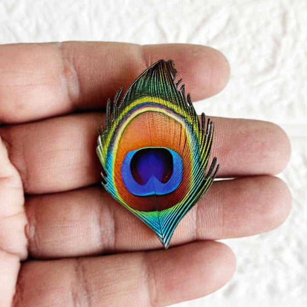 Peacock Feather (Mor Pankh) MDF Cutout Pack of 10 for Wall Hanging & Festive Decoration | Craft Shop India