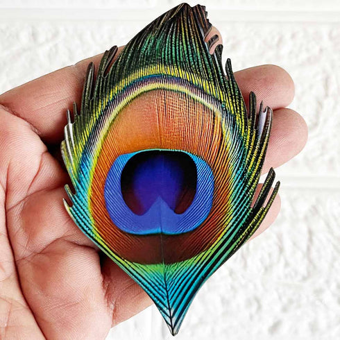 Peacock Feather (Mor Pankh) MDF Cutout Pack of 10 for Wall Hanging & Festive Decoration | Craft Shop India