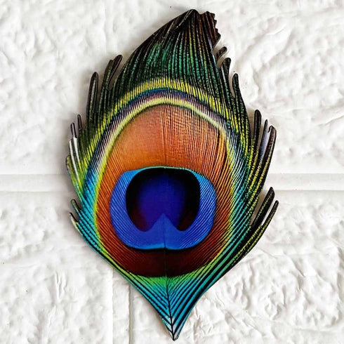 Peacock Feather (Mor Pankh) MDF Cutout Pack of 10 for Wall Hanging & Festive Decoration | Craft Shop India
