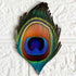 Peacock Feather (Mor Pankh) MDF Cutout Pack of 10 for Wall Hanging & Festive Decoration | Craft Shop India