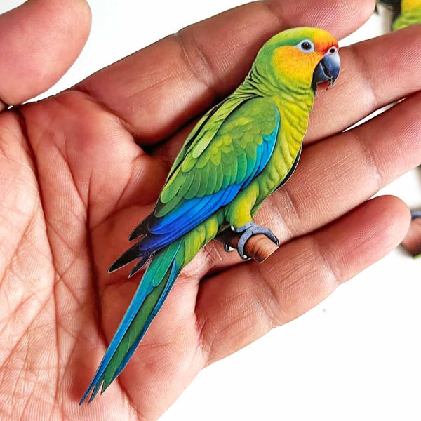 Traditional Green Parrot Cutout Pack of 10 for Wall Décor, DIY & Art Projects | Craft Shop India