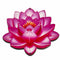 3d Look Pink Color Lotus Big Size Set Of 6