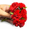 Red Color Fabric Flowers Bunch 2 Of 12 PCS.