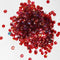 Dark Red Rainbow Color Shine Circular Sequins / Shaker