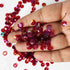 Dark Red Rainbow Color Shine Circular Sequins / Shaker