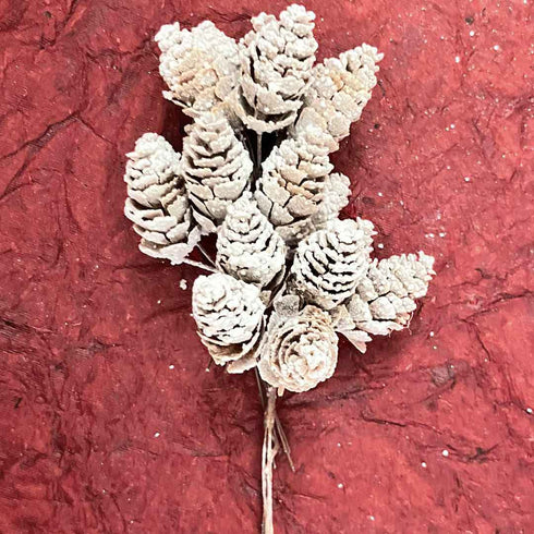 Brown Color Pine Filler | Pine Filler Pack Of 2 | Bunch (12 stems) | Brown Color Pine | Art Craft | Online Craft | Hobby Craft | Craft Material | Craft Shop India | Craft Store Online | Handemade | Indian decoration | Craft Making | Project Making | Wedding Decoration