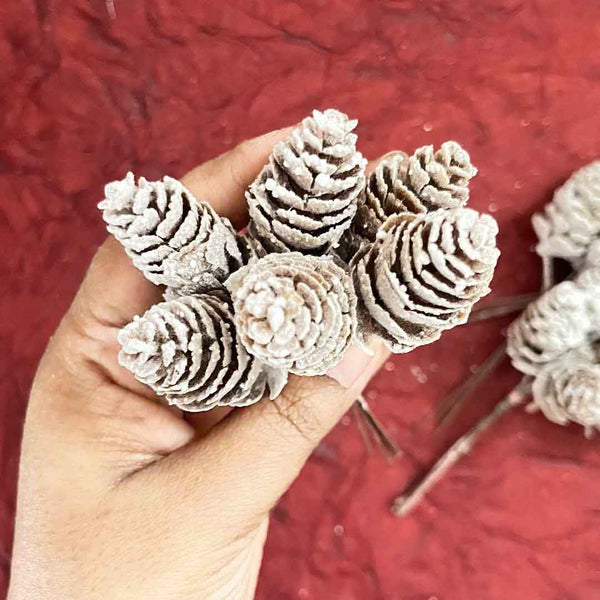 Brown Color Pine Filler | Pine Filler Pack Of 2 | Bunch (12 stems) | Brown Color Pine | Art Craft | Online Craft | Hobby Craft | Craft Material | Craft Shop India | Craft Store Online | Handemade | Indian decoration | Craft Making | Project Making | Wedding Decoration