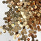 Golden Color Circular Sequins / Shakers