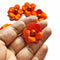 Orange Color Small Size Flower Set Of 20