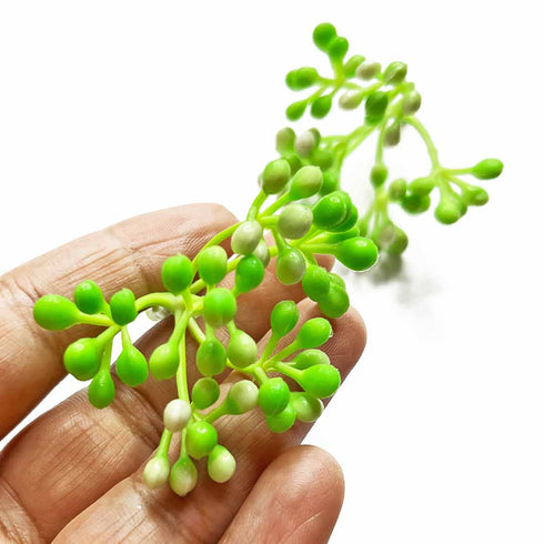 Green & Cream Color Buds Bunch Set Of 12