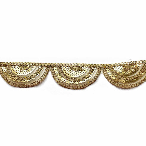 Golden Sequence & Zari Work Tissue Lace & Border ( 9mtr )