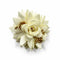 Cream Color Flower Set Of 6