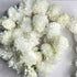 White Color Artificial Marigold Mala Set Of 2