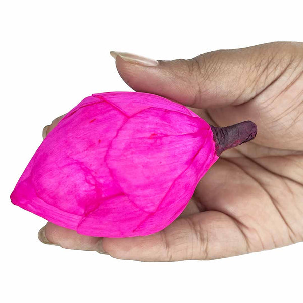 Pink Lotus Flower Bud Set of 6 | Pink Lotus Flower | Flower Bud | Craft Shop India | Art Craft