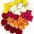 Multi Color Artificial Rose Flower Set Of 10