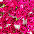 Pink Color Artificial Rose Flower Set Of 6