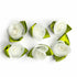 White Color Organza Rose Flower With Leaves Set Of 10