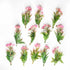 Green & Pink Color Leaf Bunch Set Of 12