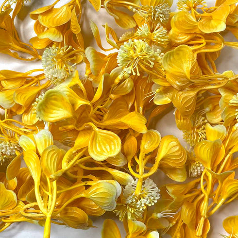 Yellow Color Big Size Leaf With Flower Pack Of 25