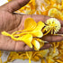 Yellow Color Big Size Leaf With Flower Pack Of 25