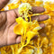 Yellow Color Big Size Leaf With Flower Pack Of 25