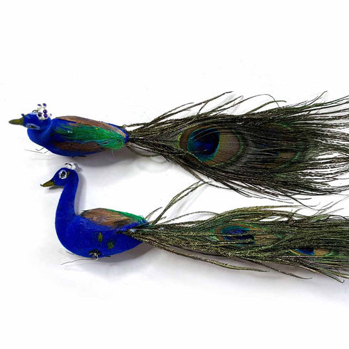 Peacock Pair For Bandhanwar