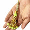 Light Green Color Beads | Glass Beads | jarkan Work latkan Hanging | Hanging Set of 2 | Cones With Beads latkan | Hanging Beads | Hanging Latkan | Set of 2 Hanging Latkan | Art Craft | Online Craft | Hobby Craft | Craft Material | Craft Shop India | Craft Store Online