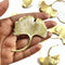 Metal Ginkgo Leaf Golden Patra Pack Of 20