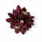 Dark Maroon Color Flower Set Of 6