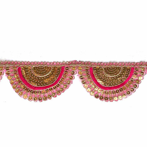Rani Pink With Zari Work Semi Circle Tissue Lace & Border ( 9mtr )