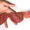 Rani Pink With Zari Work Semi Circle Lace & Border ( 9mtr ) | Rani Pink With Zari Work | Adikala Craft Store | Art Craft | Decoration | Laces Collection | Border Collection | Craft Making