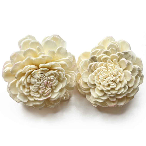 Cream Color Sola Wood Flower Pack of 10