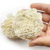 Cream Color Sola Wood Flower Pack of 10