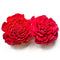 Red Sola Wood Flower Pack of 10